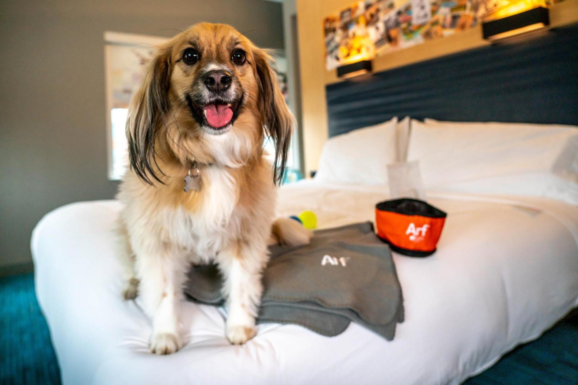 Aloft Downtown Hotel